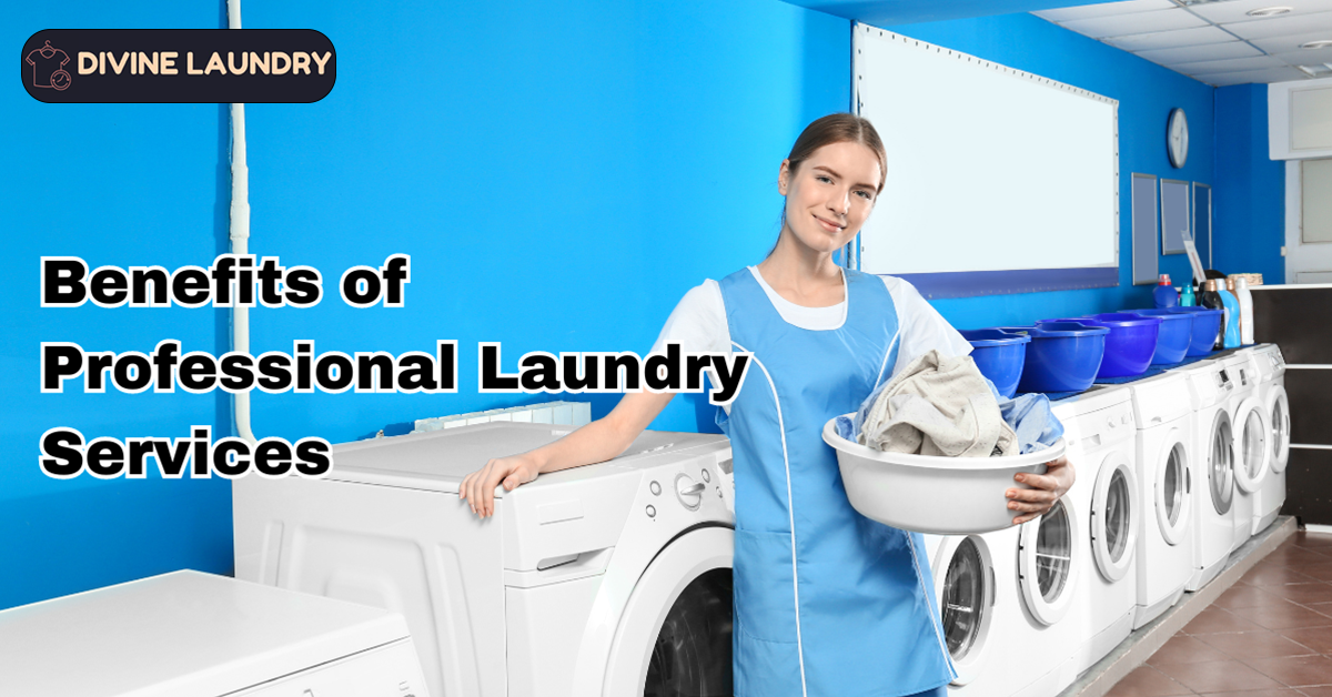 professional laundry services